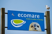 Dagje uit naar Ecomare op Texel (grootouder en kleinkind)