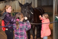 Manege Warnaar (onderbouw)