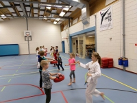 Taekwondo (onderbouw en bovenbouw)