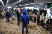Werken bij de boer (bovenbouw)