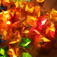 Workshop Licht en donker (bovenbouw)