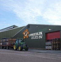Langedijk Lelies Hoogwoud (Nieuw)